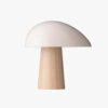 Beautiful lamp